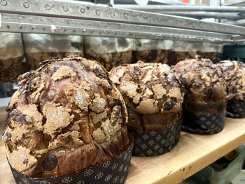 Image for Panettone Paradiso